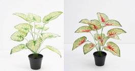 DKD Home Decor Planta Tipo Taro Surtido de 12 Piezas (Verde, Blanco, Rojo) Dimensions 30x43x54 cm