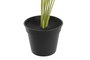 DKD Home Decor Planta Tipo Taro Surtido de 12 Piezas (Verde, Blanco, Rojo) Dimensions 30x43x54 cm