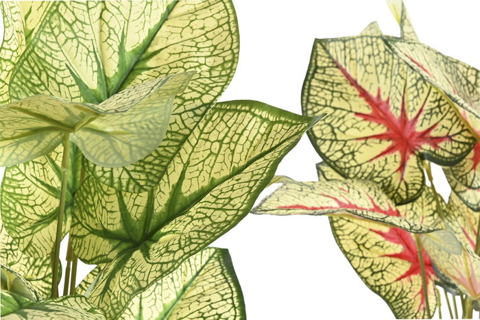 DKD Home Decor Planta Tipo Taro Surtido de 12 Piezas (Verde, Blanco, Rojo) Dimensions 30x43x54 cm