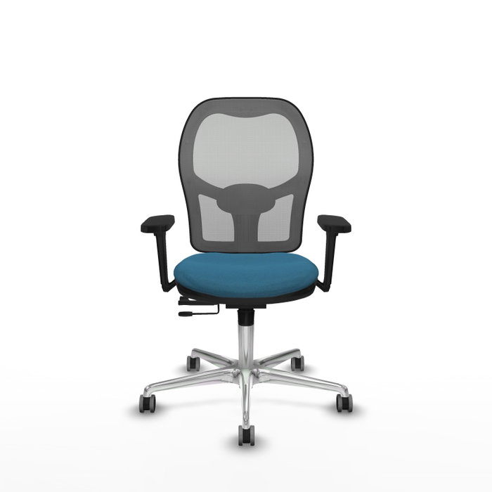 PIQUERAS Y CRESPO Silla de oficina Jorquera con mecanismo Sincro/Traslack, Verde petróleo y Gris PIQUERAS Y CRESPO Silla de oficina Jorquera con mecanismo Sincro/Traslack, Verde petróleo y Gris