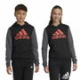 Sudadera con Capucha Niña Adidas Essentials Gris