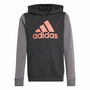 Sudadera con Capucha Niña Adidas Essentials Gris