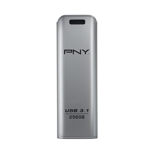PNY Elite Steel 3.1 256GB