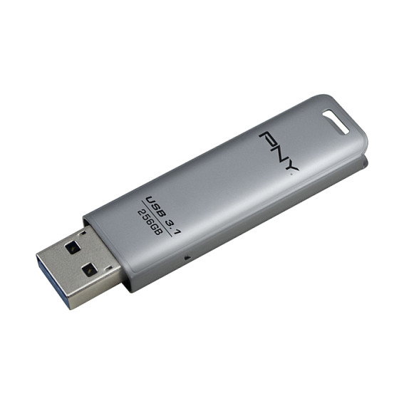 PNY Elite Steel 3.1 256GB