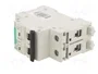 Promfactor Baltic Interruptor magnetotérmico ECO 50A 2 polos