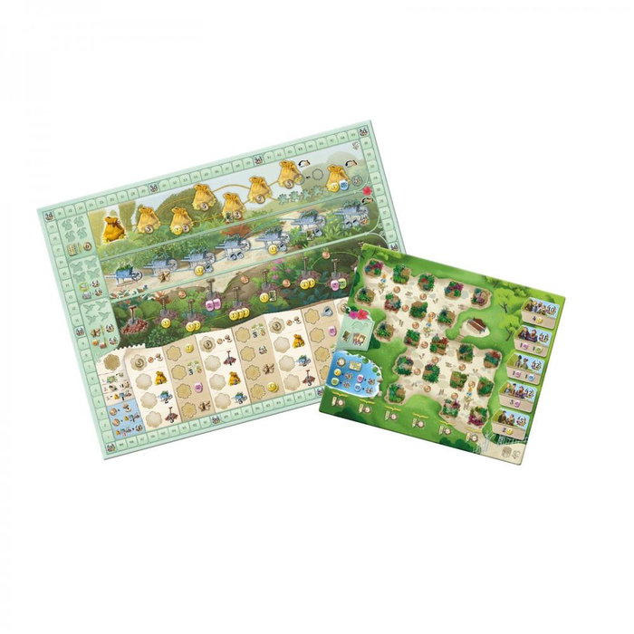 Devir Juego de Mesa Botanicus - Estrategia, 2-4 Jugadores, 50 Minutos, a Partir de 10 Años, Recomendado Kennerspiel des Jahres 2024, Castellano/Portugués