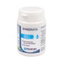 NUTERGIA SYNERVIOL 60 perlas