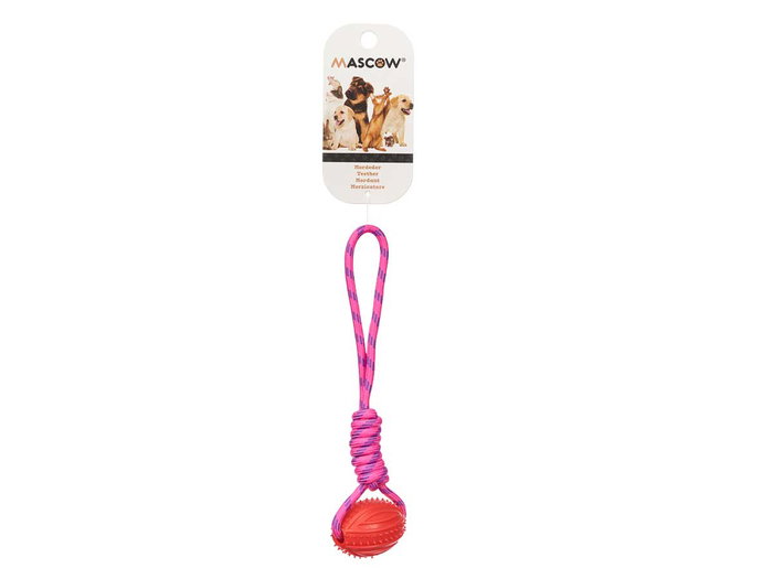 Mascow Pelota de Silicona con Cuerda 35 cm Surtidos (Set de 24)