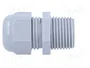 HELU Sello aislante NPT1/2 pulgada HELUTOP HT-NPT