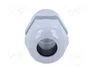 HELU Sello aislante NPT1/2 pulgada HELUTOP HT-NPT