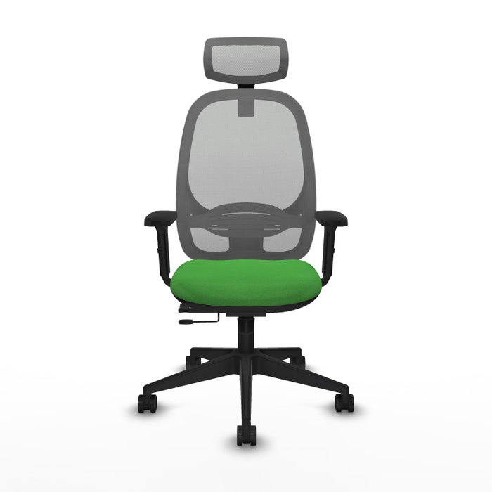 PIQUERAS Y CRESPO Silla de oficina Cilanco con mecanismo Sincro/Traslack, Verde y Gris PIQUERAS Y CRESPO Silla de oficina Cilanco con mecanismo Sincro/Traslack, Verde y Gris