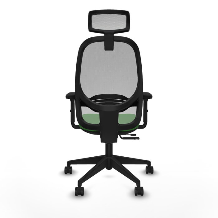 PIQUERAS Y CRESPO Silla de oficina Cilanco con mecanismo Sincro/Traslack, Verde y Gris PIQUERAS Y CRESPO Silla de oficina Cilanco con mecanismo Sincro/Traslack, Verde y Gris