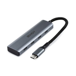 Lindy Hub USB 3.2 Gen 2 de 4 puertos Type-C Gris