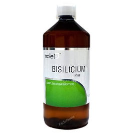 NALE Bisilicium Plus 1 L