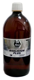 NALE Bisilicium Plus 1 Lt