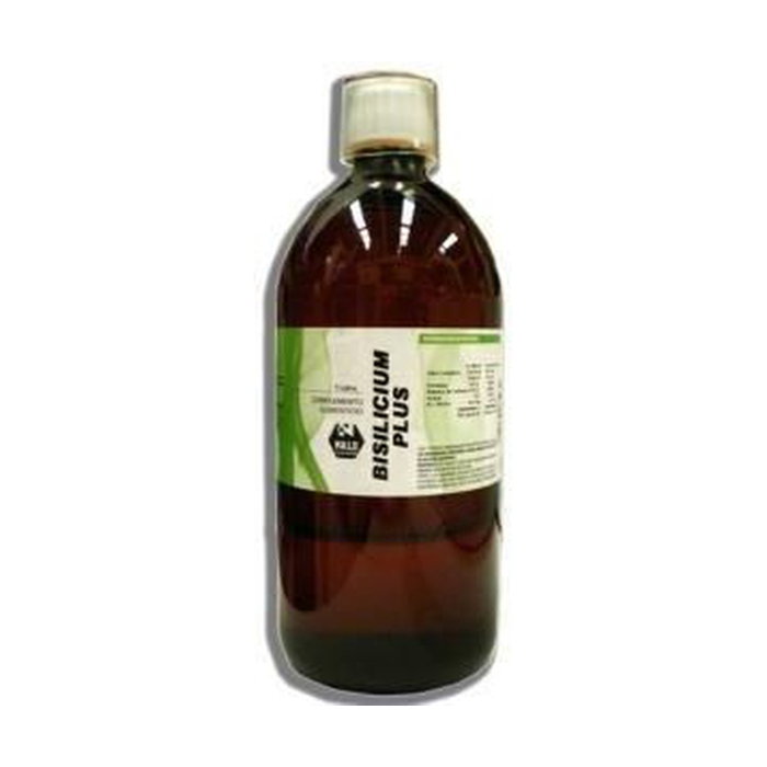 NALE Bisilicium Plus 1 L