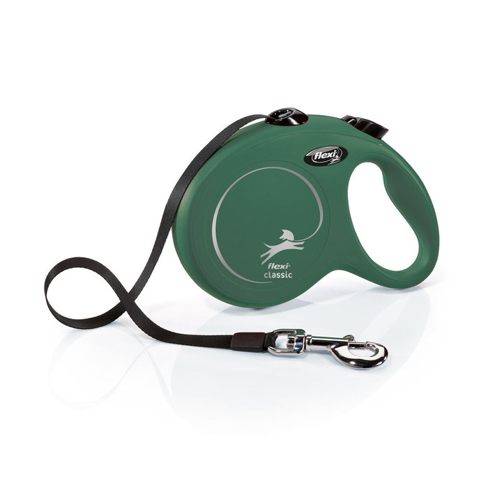 Correa para Perro Flexi Verde L