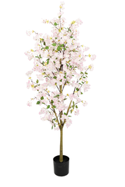 DKD Home Decor Árbol Azalea Rosa Palo 80x80x180 cm