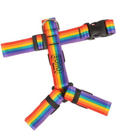 Bub'S Arnés Not Pull Rainbow T-M