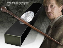 The Noble Collection Réplica Varita Profesor Remus Lupin Harry Potter Caja Colección Placa Identificativa Pintada a Mano