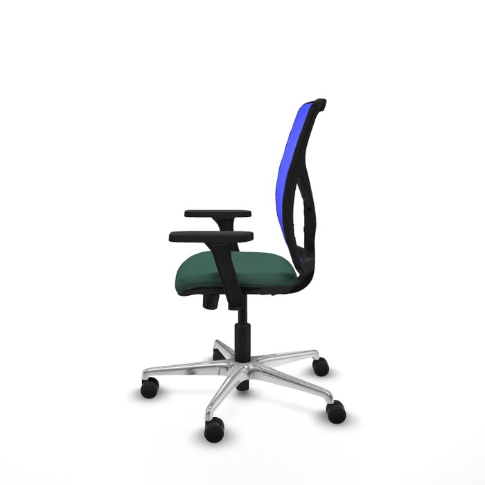PIQUERAS Y CRESPO Silla de oficina Motilla con mecanismo Sincro/Traslack Verde botella y Azul PIQUERAS Y CRESPO Silla de oficina Motilla con mecanismo Sincro/Traslack Verde botella y Azul