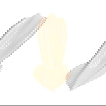 SUMMA PREMIUM Miscelanea Bol Calamar Brillo 28.5x10 cm - Ensaladera de Porcelana, Colección Miscelanea, Apto Lavavajillas (Set de 2)