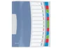Esselte Carpeta Clasificadora Vivida DIN A4 12 Departamentos Índice Multicolor Translucida