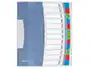 Esselte Carpeta Clasificadora Vivida DIN A4 12 Departamentos Índice Multicolor Translucida