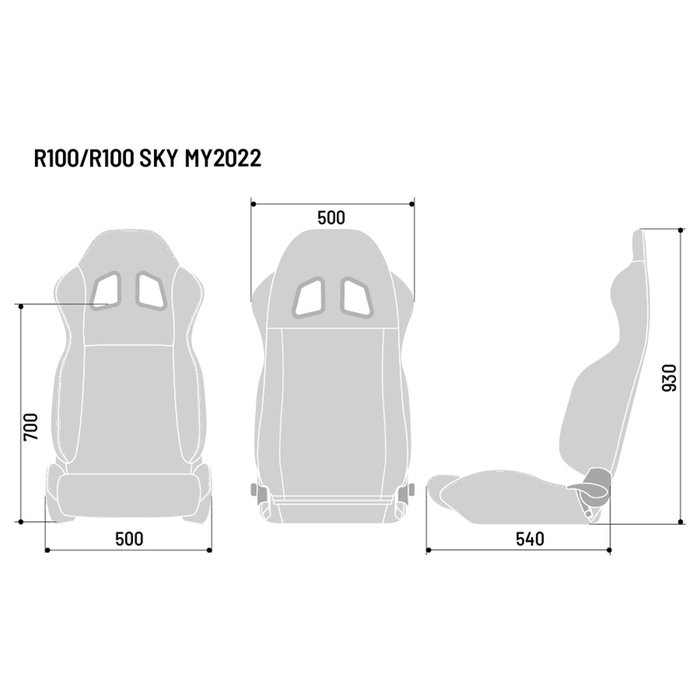 Sparco Asiento R100 S009014NRNR, Negro, MY2022, Reclinable Deportivo para Calle, Track Day y Sim Racing con Montaje Inferior y Arnés de 4 Puntos