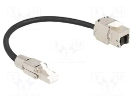 DeLOCK Cable de red RJ45 Cat.6A Macho a Keystone Hembra, 0,25 m