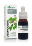 Soria Natural Extracto de Desmodens Fórmula XXI 50 ml