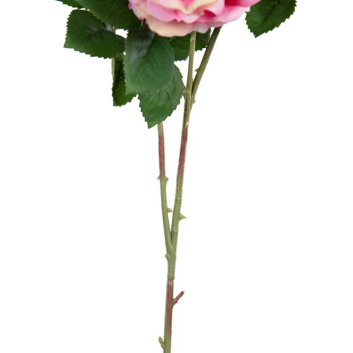 Flor Rosas Rosa Artificial Decoración 30 X 20 X 80 cm (Set de 12)