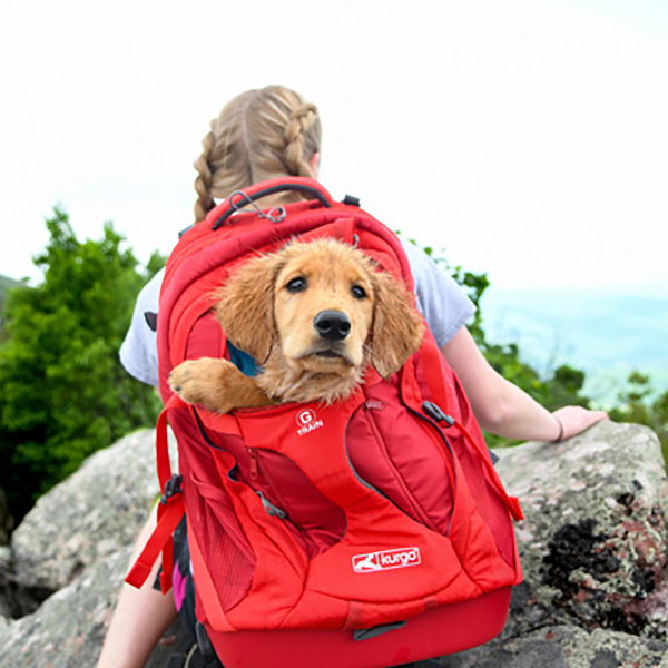 Petsafe Kurgomochila G-Train K9 Rojo