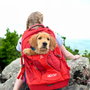 Petsafe Kurgomochila G-Train K9 Rojo