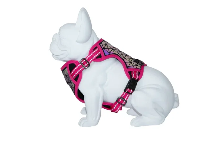 Freedog Arnés Boreal Fucsia 25 mm Cuello 43-65 cm Pecho 45-90 cm Freedog Arnés Boreal Fucsia 25 mm Cuello 43-65 cm Pecho 45-90 cm