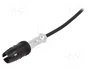 4CARMEDIA Antena de coche con amplificador de 8dB y mástil de 0,175m