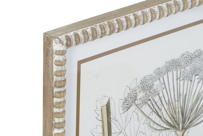 Cuadro DKD Home Decor Moderno Plantas botánicas 45 x 2,5 x 60 cm (6 Unidades)