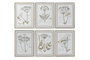 Cuadro DKD Home Decor Moderno Plantas botánicas 45 x 2,5 x 60 cm (6 Unidades)