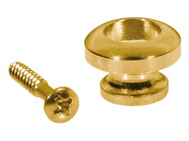 Sujetacorreas Boston 14 mm Dorado 2 unidades