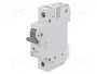 ETI POLAM Interruptor magnetotérmico ETIMAT 6 1P B1 1A 6kA