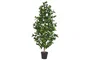 DKD Home Decor Árbol Topiario Verde y Marrón de 150 cm