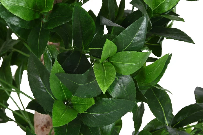 DKD Home Decor Árbol Topiario Verde y Marrón de 150 cm