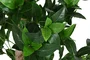 DKD Home Decor Árbol Topiario Verde y Marrón de 150 cm