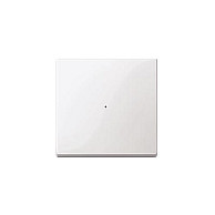 MERTEN MEG5210-0325 Wippe para módulo de pulsador de 1 posición, aktivweiß glä