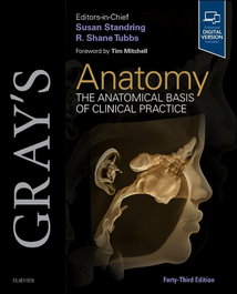 Elsevier UK Gray's Anatomy 43rd Edition