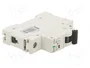 Promfactor Baltic Interruptor magnetotérmico ECO 13A 1 Polo Curva C
