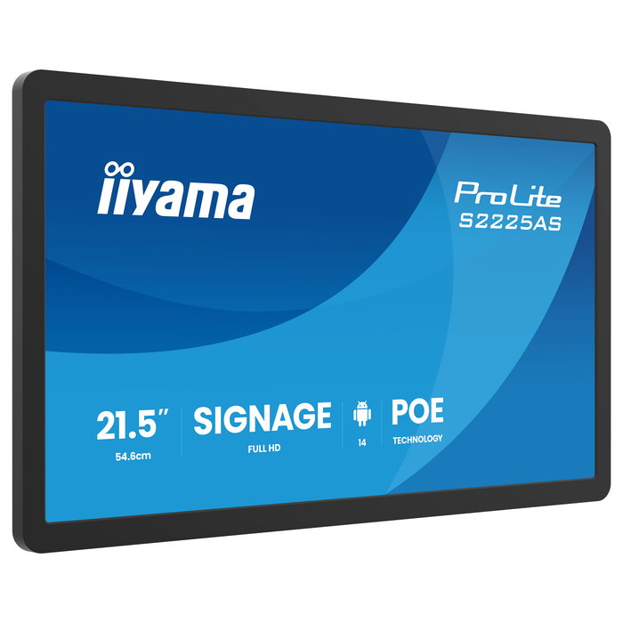 iiyama ProLite S2225AS-B1P Full HD IPS