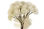DKD Home Decor Flor Blanca 10 x 63 x 10 cm (12 Unidades)