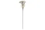 DKD Home Decor Flor Blanca 10 x 63 x 10 cm (12 Unidades)