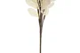 DKD Home Decor Flor Blanca 10 x 63 x 10 cm (12 Unidades)